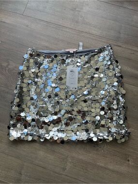 Sparkly Sequin Skirt